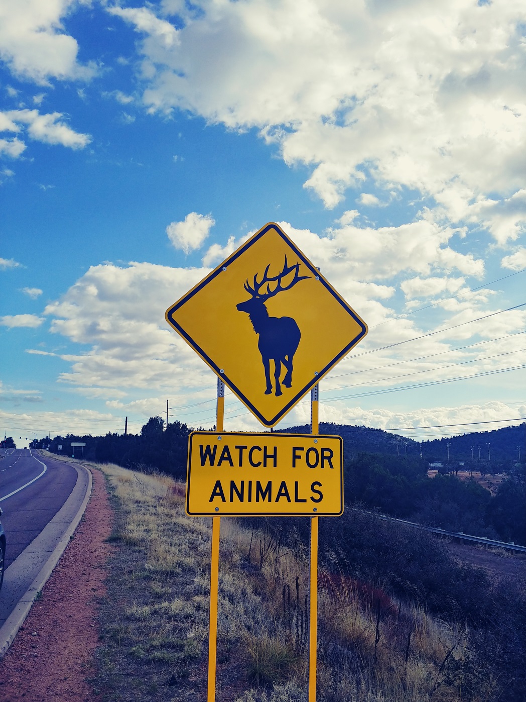 Watch For Deer